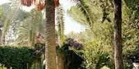 Palazzo-Margherita-30-Giardino